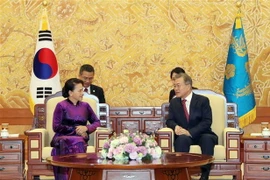 Chủ tịch Quốc hội Nguyễn Thị Kim Ngân hội kiến Tổng thống Hàn Quốc Moon Jae-in. (Ảnh: Trọng Đức/TTXVN)