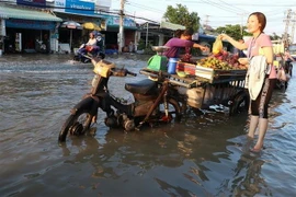 Triều cường gây ngập làm nhiều phương tiện cơ giới bị chết máy. (Ảnh: Huỳnh Sử/TTXVN)