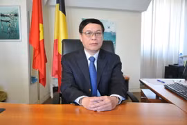 Đại sứ Việt Nam tại Vương Quốc Bỉ, Vũ Anh Quang. (Ảnh: Kim Chung/TTXVN)