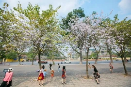 (Ảnh minh họa: Trọng Đạt/TTXVN)