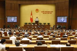 Quang cảnh phiên họp. (Ảnh: Doãn Tấn/TTXVN)