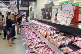 Thịt gia súc, gia cầm được kinh doanh với nhiều trọng lượng đa dạng. (Ảnh: Mỹ Phương/TTXVN)