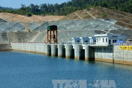 Ảnh minh họa. (Nguồn: TTXVN)