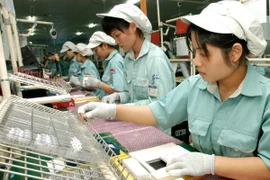 Ảnh minh họa. (Nguồn: TTXVN)