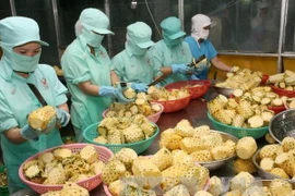 Chế biến dứa xuất khẩu. (Ảnh: Đình Huệ/TTXVN)