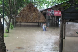 Người dân thả lưới bắt cá tại khu vực các nhà dân bị ngập tại phường Định Hòa, thành phố Thủ Dầu Một. (Ảnh: Chí Tưởng/Vietnam+)