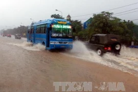 Ảnh minh họa. (Nguồn: TTXVN)