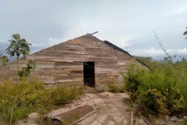 Các căn nhà người dân tự ý dựng trong phạm vi dự án Thủy lợi Ia Mơr, có dấu hiệu lợi dụng chính sách bồi thường giải phóng mặt bằng. (Ảnh: Hồng Điệp/TTXVN)