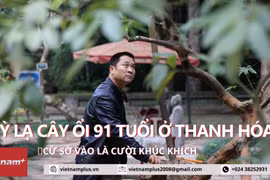 (Ảnh: Minh Sơn/Vietnam+)