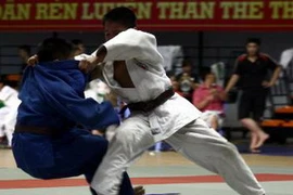 (Ảnh minh họa: TTXVN)