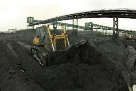 (Ảnh: Trọng Đạt/TTXVN)