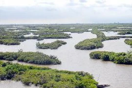 (Ảnh minh họa: TTXVN)