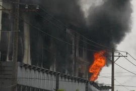 (Ảnh minh họa: TTXVN)