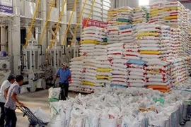 Chế biến gạo xuất khẩu. (Ảnh: Đình Huệ/TTXVN)