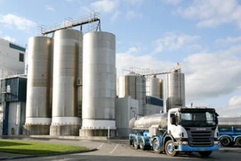 Vi khuẩn trong sản phẩm Fonterra không sinh độc tố