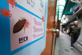 Một panô cảnh báo về nạn rệp giường tại Hàn Quốc. (Nguồn: The Korea Times)