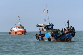 (Ảnh minh họa: TTXVN phát)