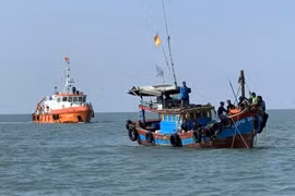 (Ảnh minh họa: TTXVN phát)