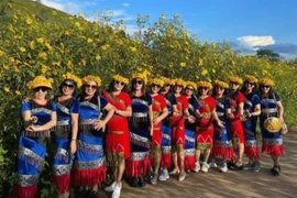 Du khách chụp ảnh lưu niệm tại Tuần lễ hoa Dã quỳ - núi lửa Chư Đang Ya năm 2023. (Ảnh: Hồng Điệp/TTXVN)