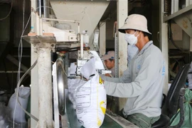 Đóng gói gạo xuất khẩu tại Công ty Cổ phần xuất nhập khẩu Nông sản thực phẩm An Giang. (Ảnh: Công Mạo/TTXVN)