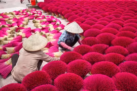 Đến làng Quảng Phú Cầu lúc nào du khách cũng sẽ thấy màu đỏ rực ở khắp nơi. (Ảnh: Vietnam+)
