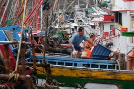 Neo đậu tàu thuyền tránh bão tại cảng Dasi, Nghi Lan, Đài Loan (Trung Quốc). (Nguồn: AFP/TTXVN)