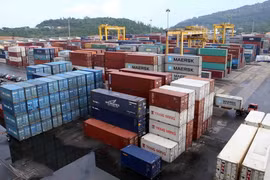 Bãi xếp Container tại cảng Đà Nẵng. (Ảnh: Trần Lê Lâm/TTXVN)