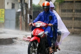 Ảnh chỉ có tính minh họa. (Ảnh: Minh Sơn/Vietnam+)