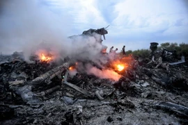 Hiện trường vụ rơi máy bay MH17 ở gần Donetsk, Ukraine. (Nguồn: EPA/TTXVN)