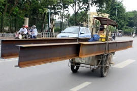 Ảnh chỉ có tính minh họa. (Ảnh: Thế Duyệt/TTXVN)