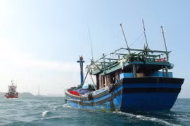Ảnh chỉ có tính minh họa. (Ảnh: Nguyên Lý/TTXVN)