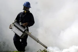 Nhân viên y tế phun thuốc khử trùng nhằm ngăn chặn sự lây lan của virus Zika. (Nguồn: EPA/TTXVN)