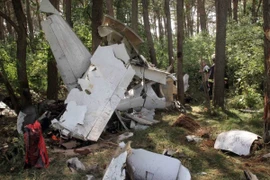 Hiện trường vụ đâm máy bay. (Nguồn: AP)