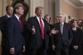 Tổng thống Mỹ Donald Trump (thứ 2, trái, phía trước) trong cuộc gặp các nghị sỹ Quốc hội ở Washington DC., ngày 9/1. (Nguồn: AFP/TTXVN)