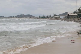 Ảnh chỉ có tính minh họa. (Ảnh: Nguyễn Thành/TTXVN)