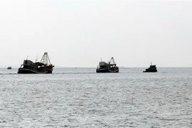 Ảnh chỉ có tính minh họa. (Ảnh: Lê Huy Hải/TTXVN)