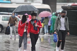 Ảnh chỉ có tính minh họa. (Ảnh: Minh Hoàng/TTXVN)