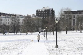 Ảnh chỉ có tính minh họa. (Nguồn: THX/TTXVN)