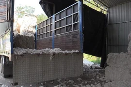 Hiện trường đổ trái phép chất thải. (Ảnh: Nguyễn Văn Việt/TTXVN)