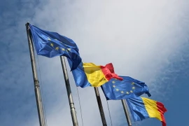 (Nguồn: ecfr.eu)