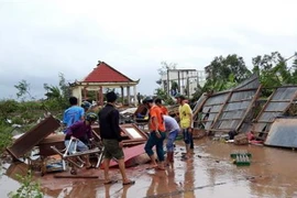 Ngành chức năng tỉnh Bạc Liêu giúp dân khắc phục hậu quả do bão số 1 gây ra. (Ảnh: Huỳnh Sử/TTXVN)