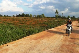 Kỷ luật 2 cán bộ, 1 tập thể thiếu trách nhiệm trong quản lý tài nguyên