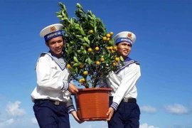 Chuyển hàng Tết đến với cán bộ, chiến sỹ đảo Đá Tây. (Ảnh: Hoàng Hùng/TTXVN)