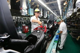 Dây chuyền lắp ráp xe ôtô tại Công ty Honda Việt Nam tại Vĩnh Phúc. (Ảnh: Danh Lam/TTXVN)