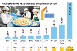 Xuất khẩu điều của Việt Nam tiếp tục đứng số 1 thế giới