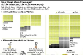 Thực trạng bảo hộ và quản lý tài sản trí tuệ cho sản phẩm nông nghiệp