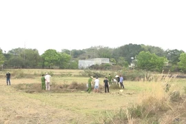 Bình Phước: Điều tra vụ người đàn ông bán vé số tử vong dưới ruộng