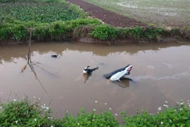 Điều tra nguyên nhân hai vụ tử vong tại Thái Bình và Bình Phước