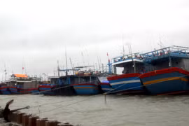 Tàu, thuyền của ngư dân xã Tam Quang, huyện Núi Thành đã neo đậu chắc chắn, đảm bảo không bị va đập khi bão đổ bộ. (Ảnh: Phước Tuệ/TTXVN)