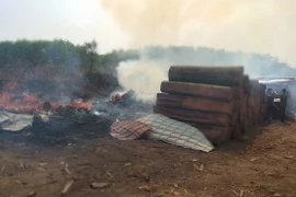 Bình Phước: Cháy khu vực chứa gỗ trong khuôn viên Chi cục Hải Quan